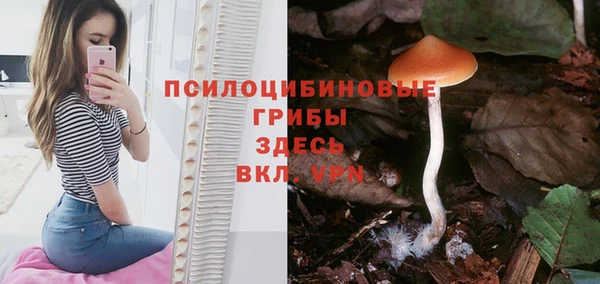 стаф Киренск