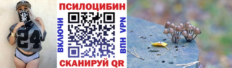 Псилоцибиновые грибы MAGIC MUSHROOMS  Купить где  Иннополис 